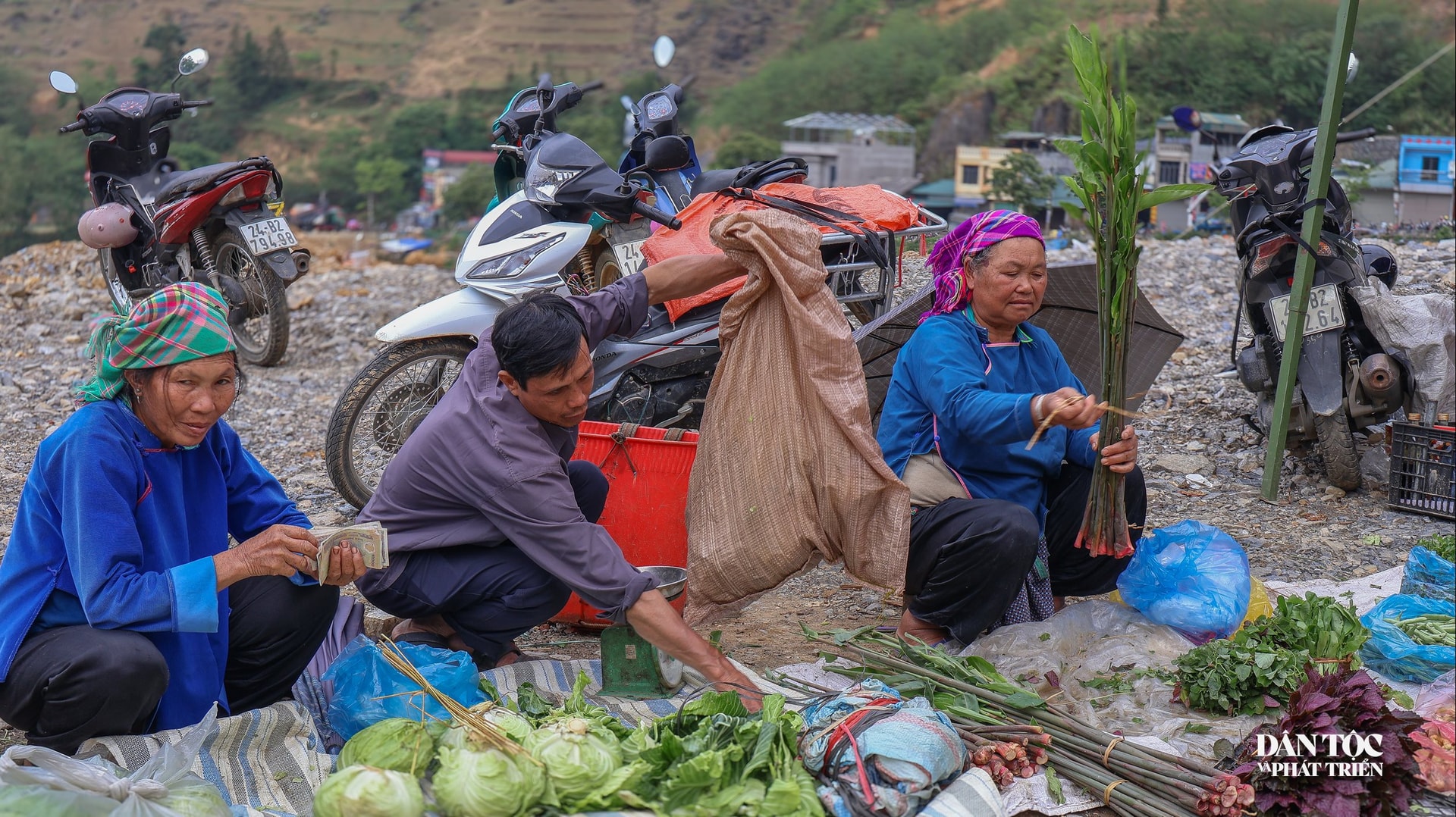 Những mớ rau rừng, bó lá thơm còn vương sương sớm.