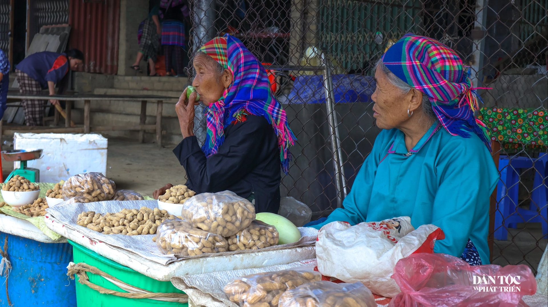 Những củ lạc nhỏ bé, tròn mẩy được các bà nâng niu, chia vào từng chiếc túi nhỏ.
