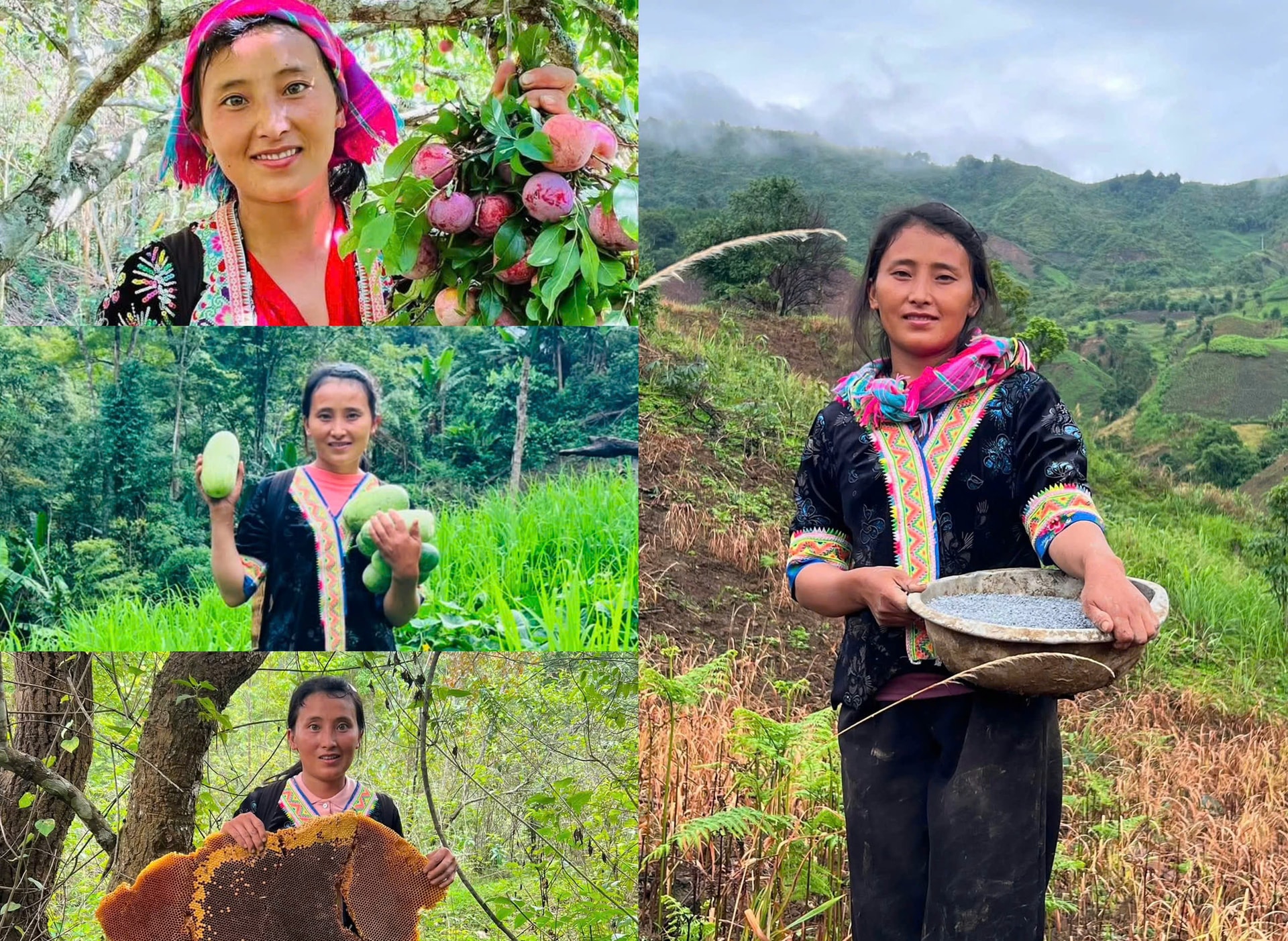 Từ cô gái người Mông bỏ lỡ giấc mơ luật sư đến cơn sốt mạng xã hội vùng cao 