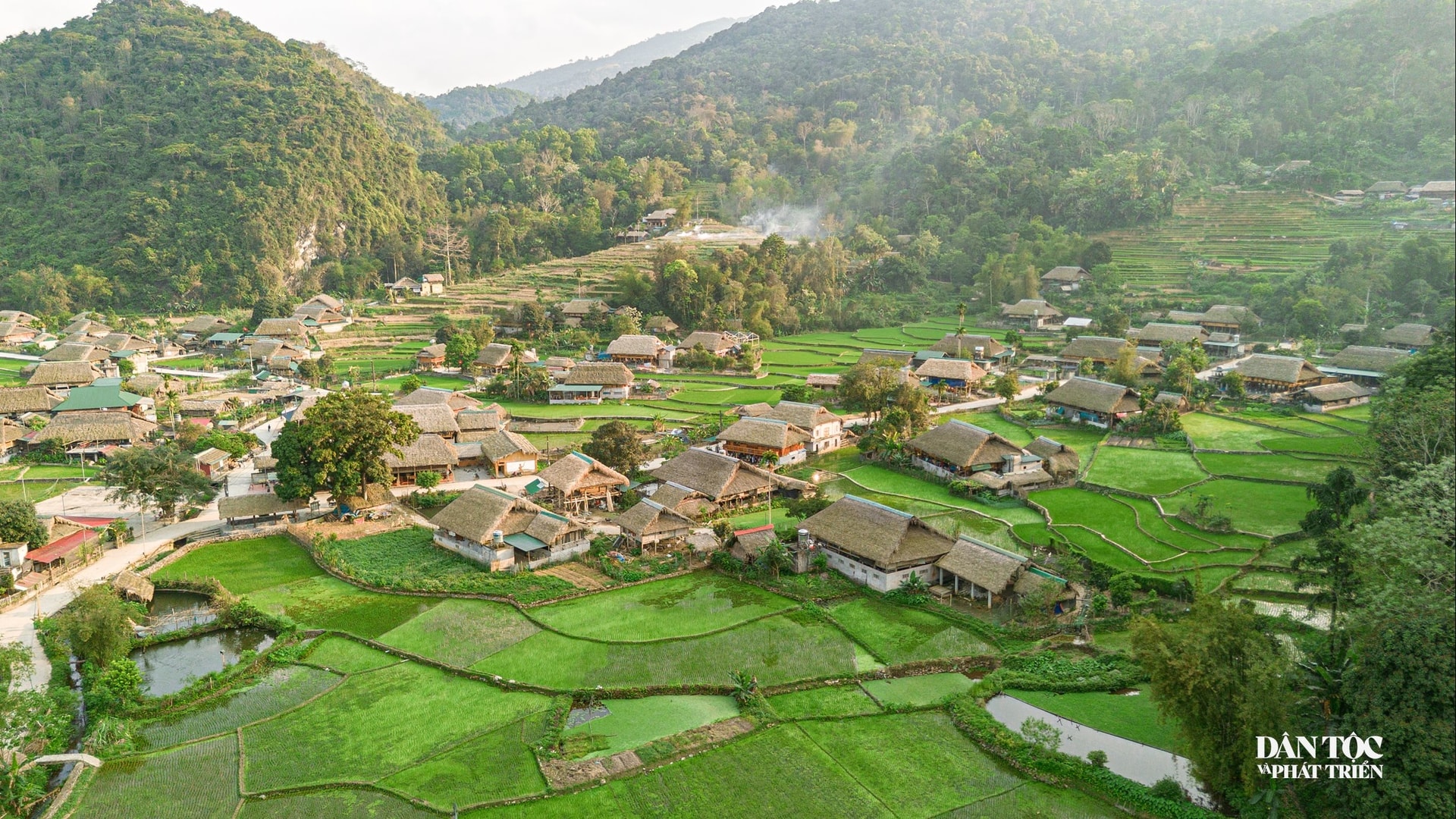 TQ Mừng