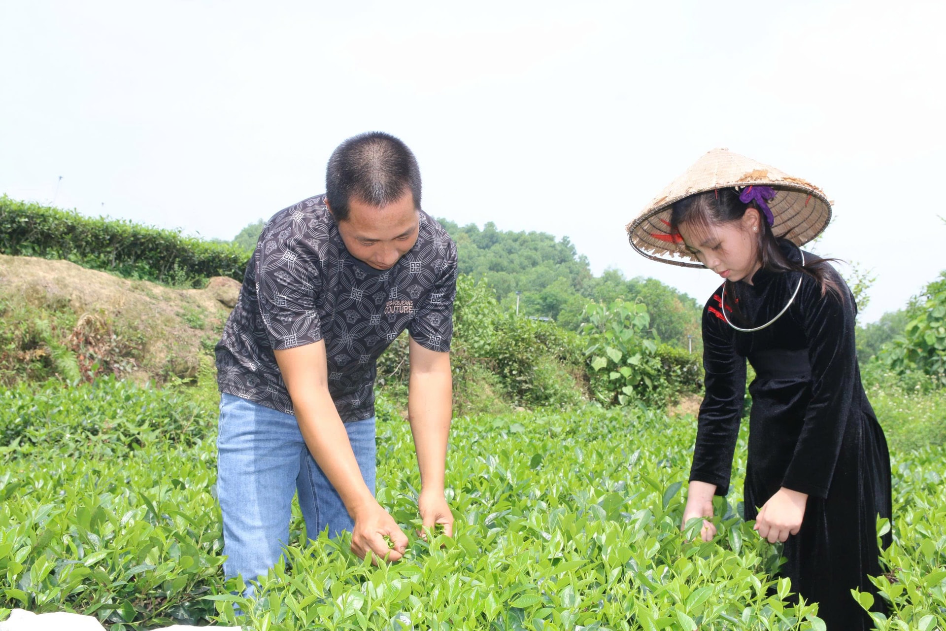 Hạt giống tri thức