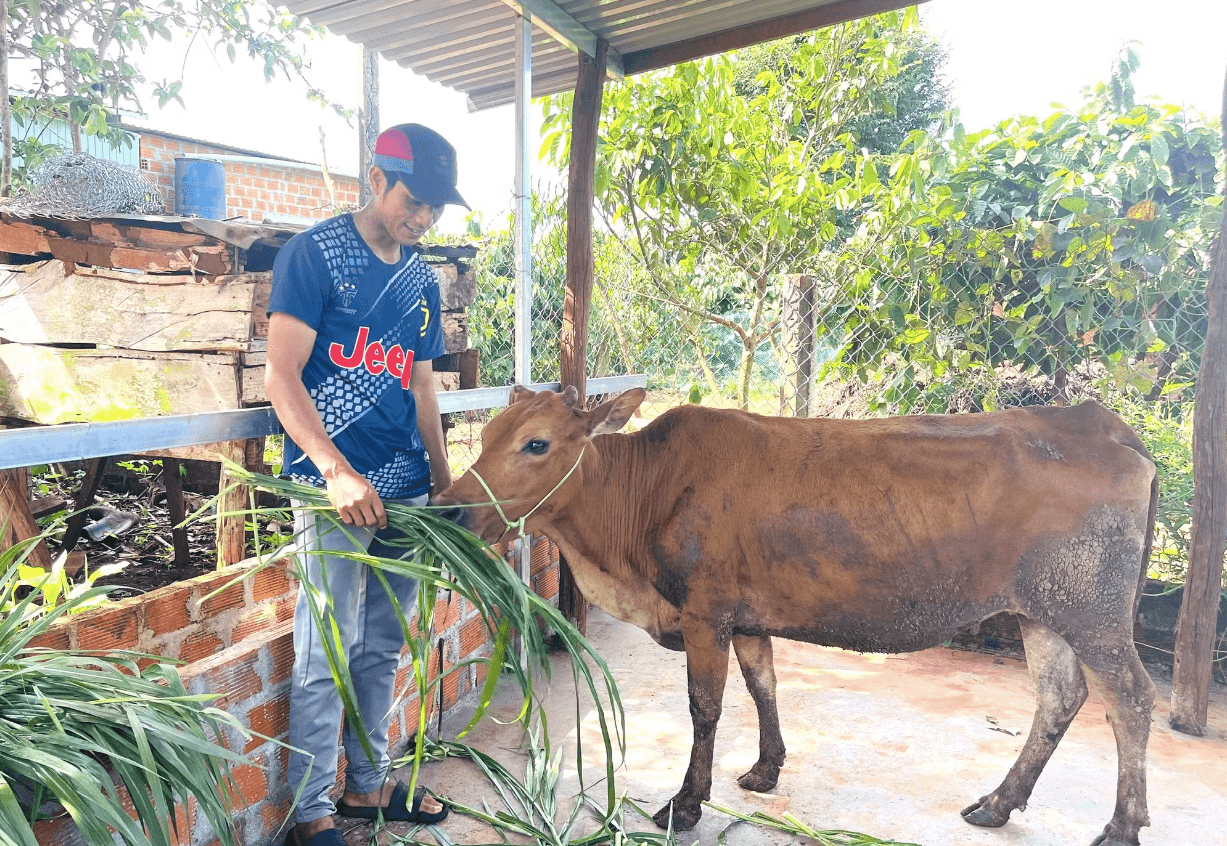 Giảm nghèo