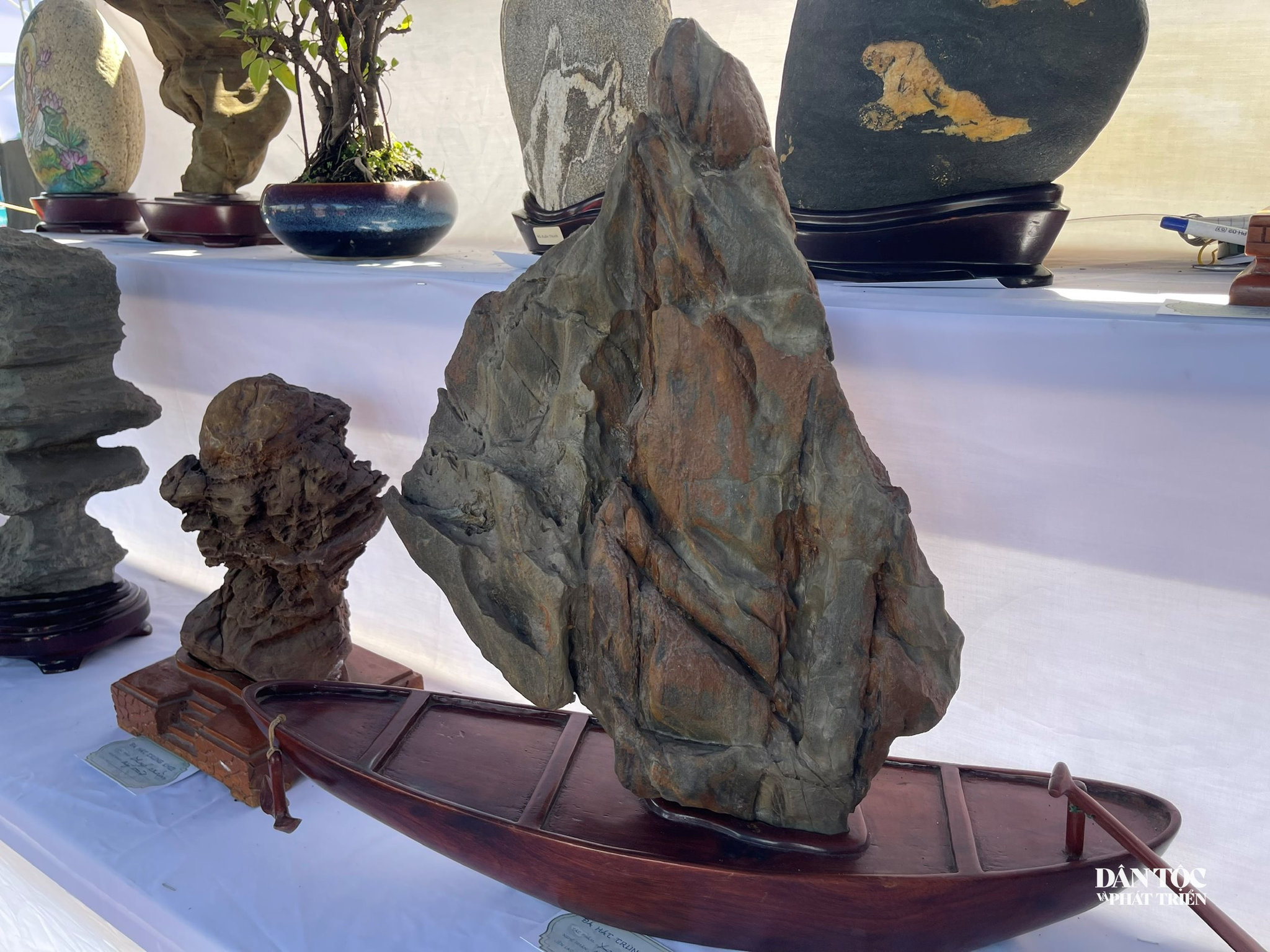 triển-lãm 12