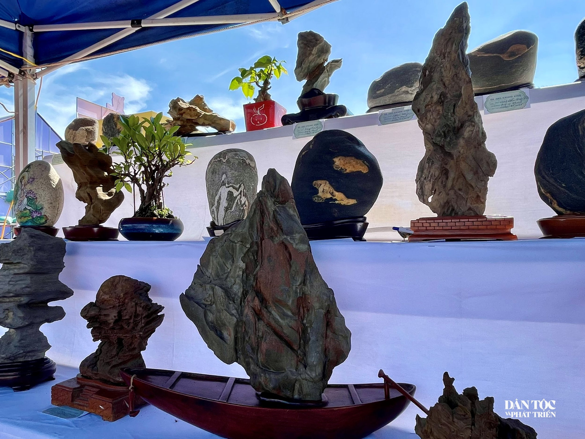 triển-lãm 4