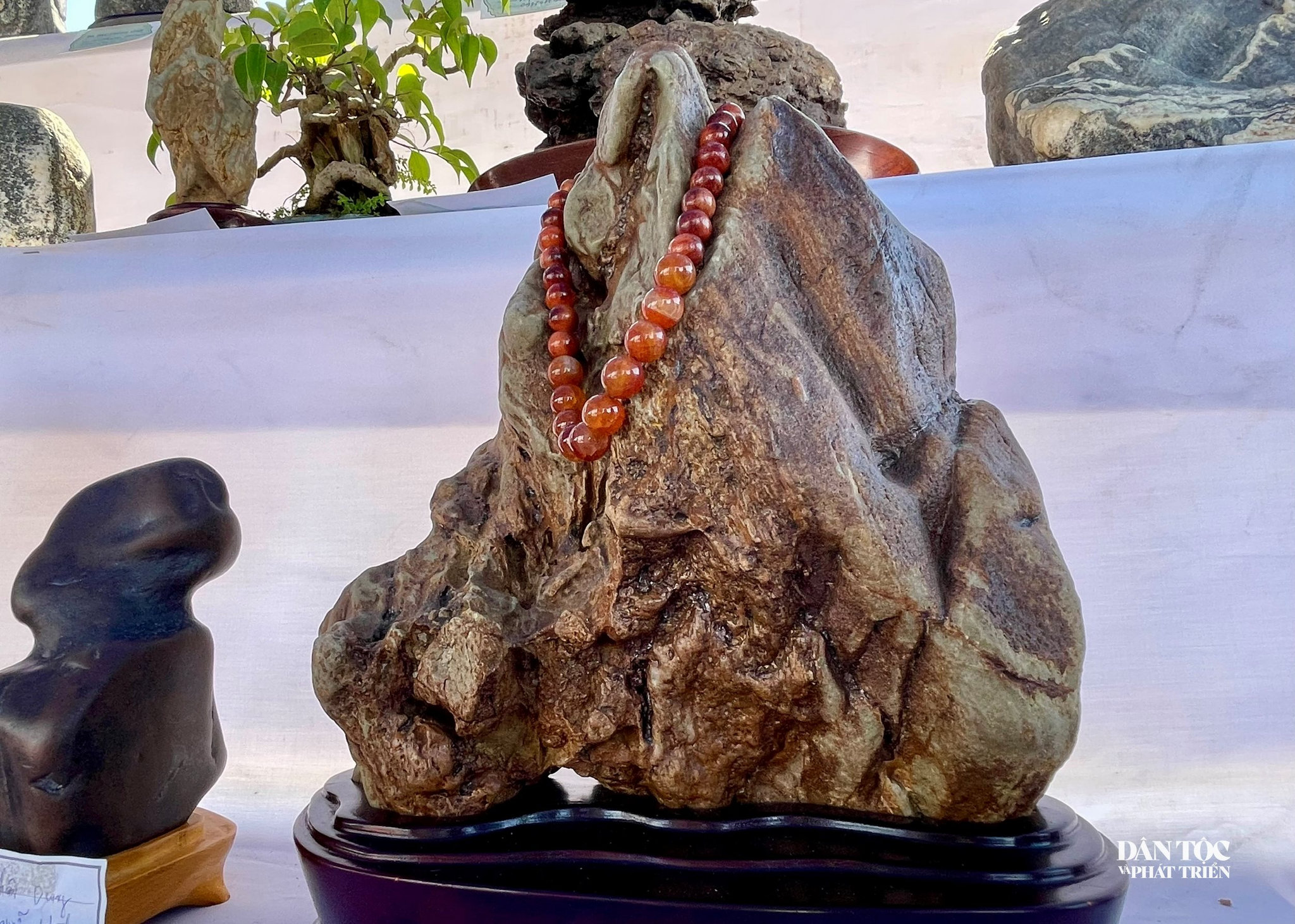 Tác phẩm Đạt Ma.