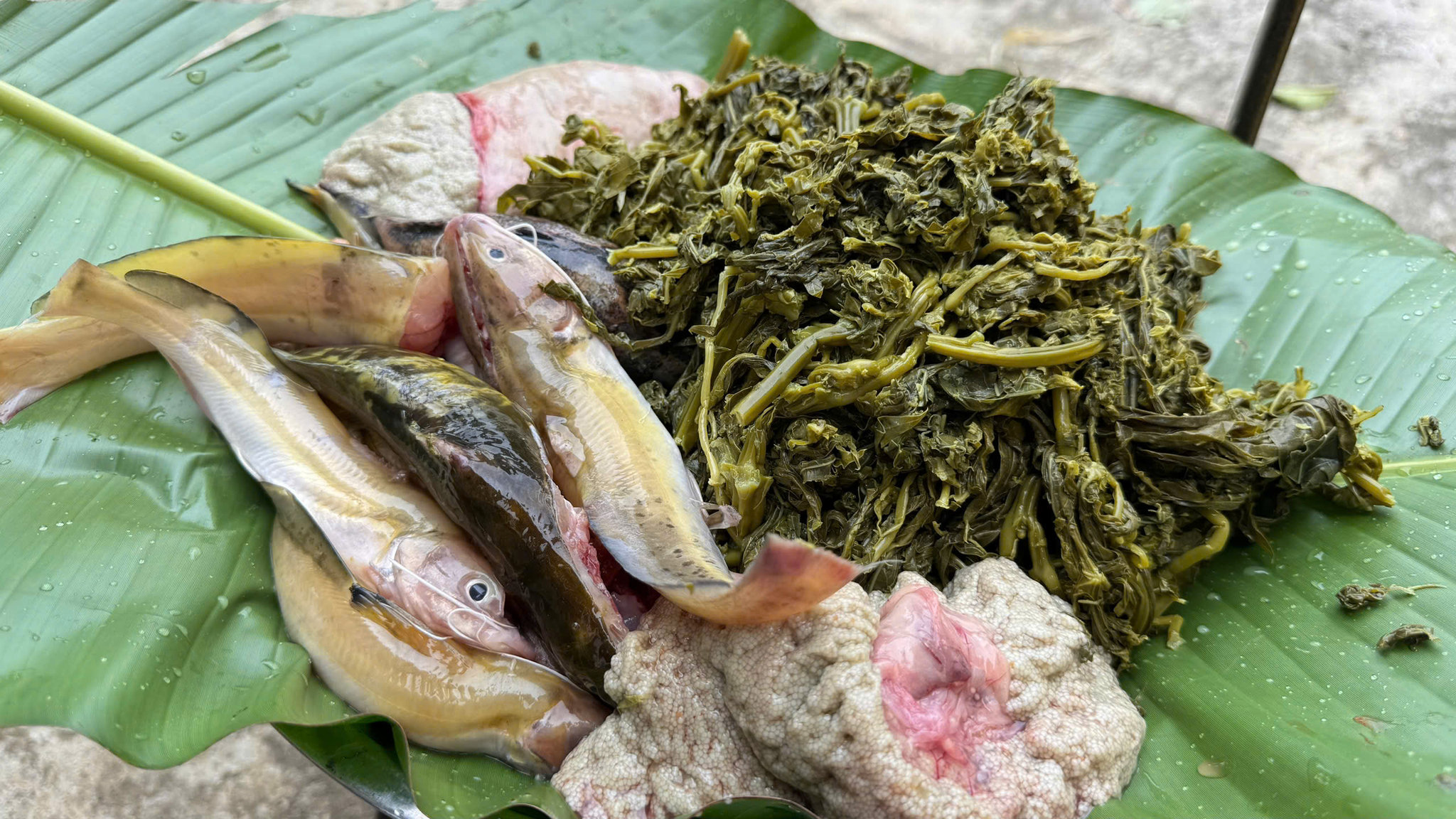 Món canh lạ từ búp sắn non: Đặc sản Phú Thọ khiến thực khách “ăn một lần nhớ mãi” 