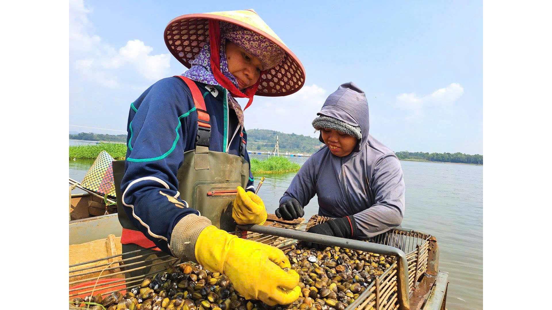 Buổi sáng sớm người dân cào hến mưu sinh trên hồ