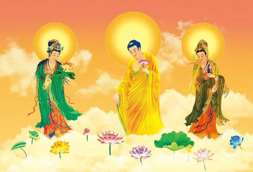 6_ecolotus_dai_the_chi_bo_tat_798e2fa0d891463c8516dd888b0b4a4b_1024x1024.webp