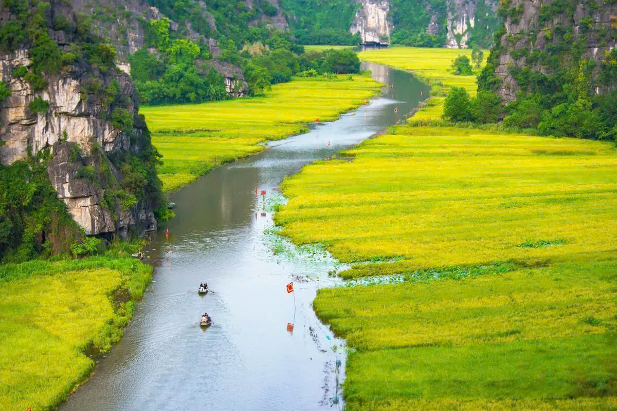Sông Ngô Đồng Ninh Bình (Ảnh Jungle Boss)