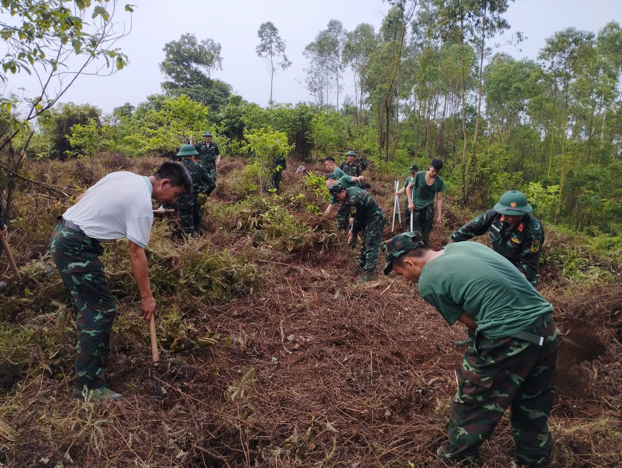 Tỉnh Lào Cai đã và đang tập trung triển khai tìm kiếm, quy tập và xác định danh tính hài cốt liệt sĩ. Ảnh: Lực lượng chức năng Lào Cai cung cấp