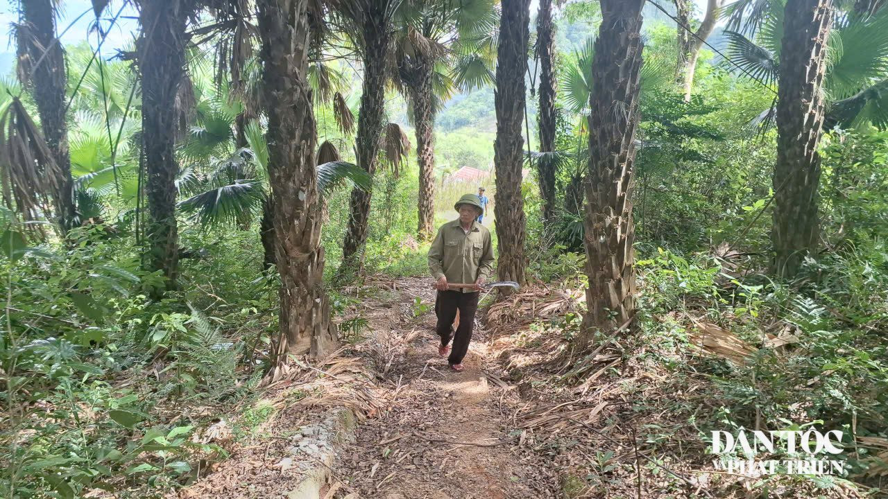 anh 10