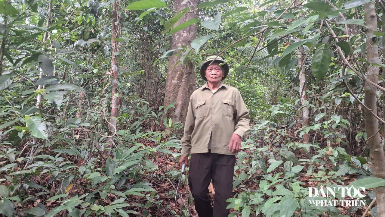 anh 14