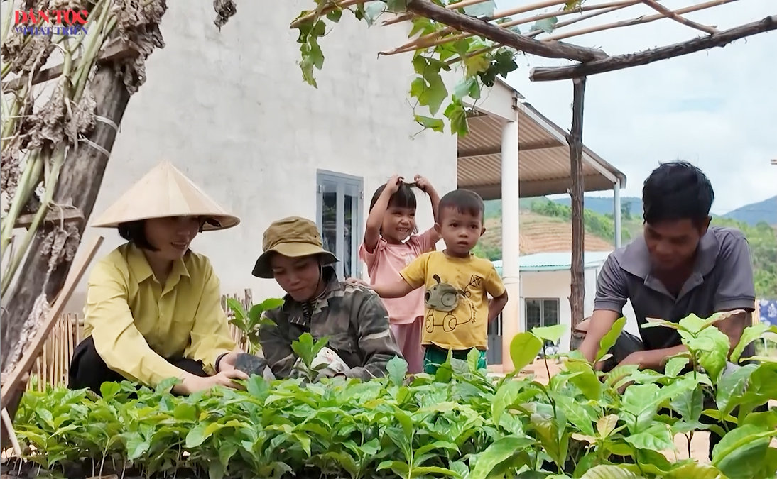 [Video] Ngày mới ở khu tái định cư Đăk Wơk 