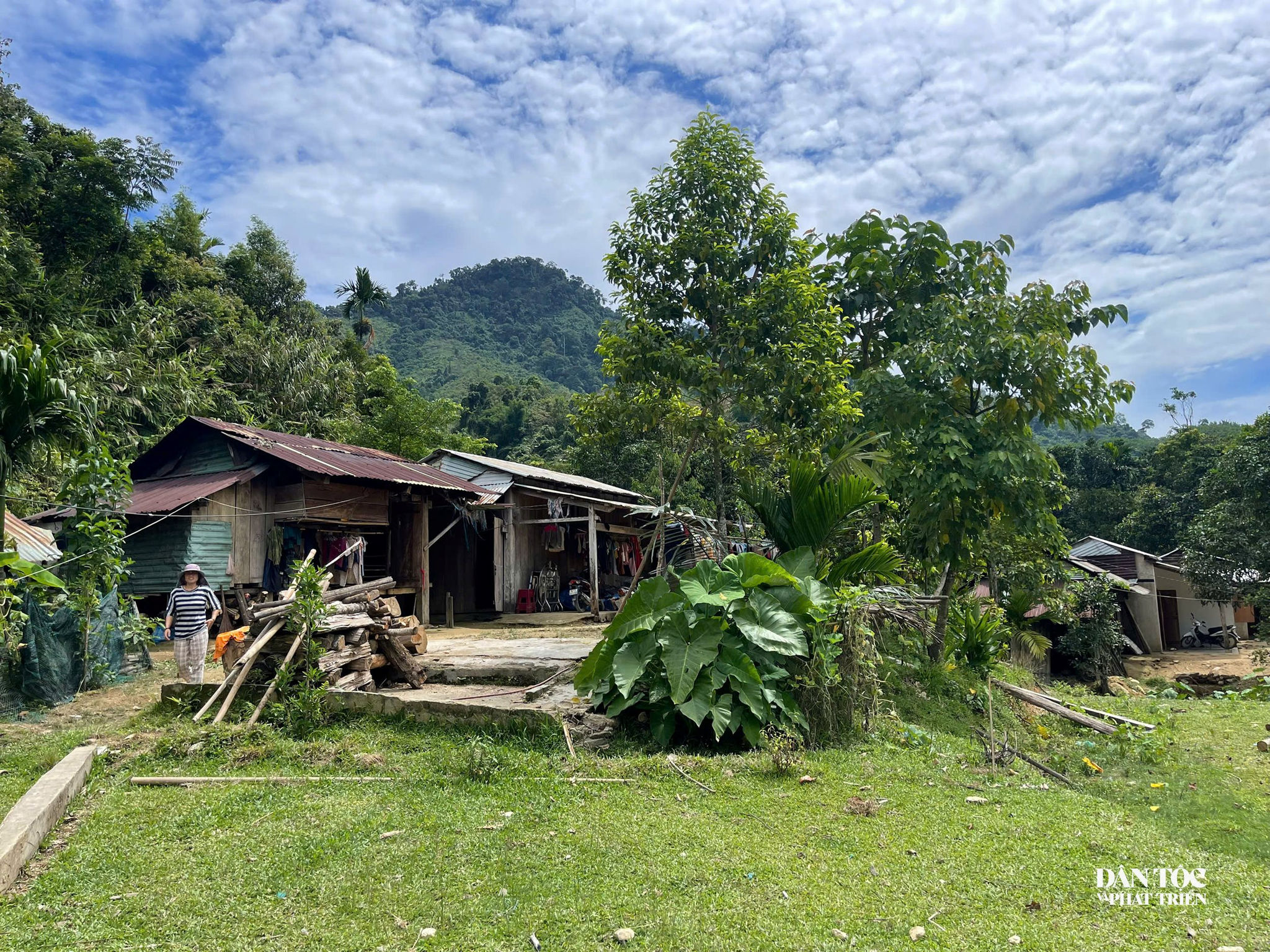 nhà tạm 2