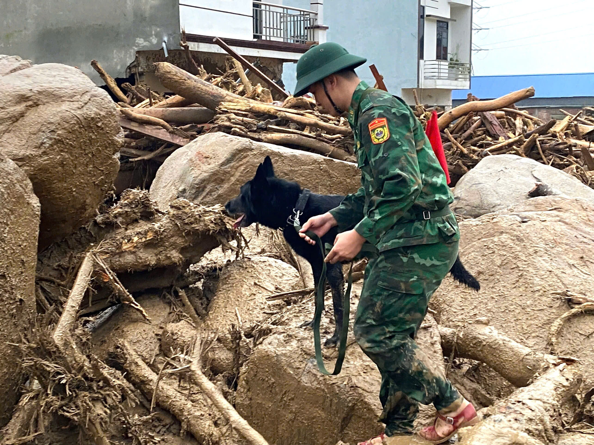 Lai Châu: Bộ đội Biên phòng dùng chó nghiệp vụ tìm kiếm nạn nhân mất tích