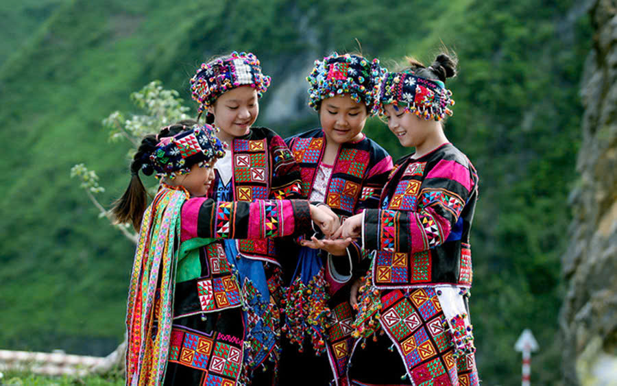Dự thảo A 1