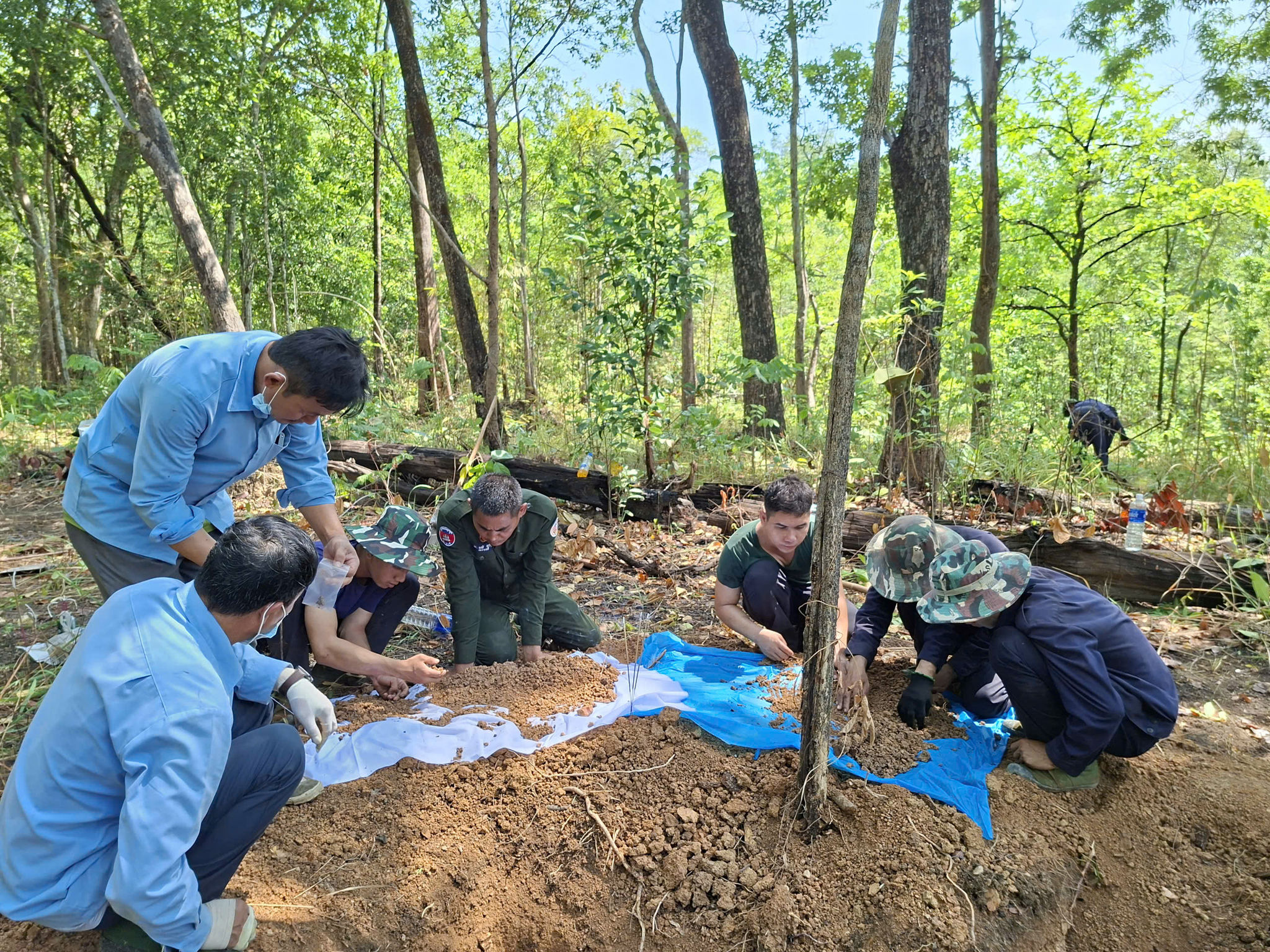 Hài cốt liệt sĩ