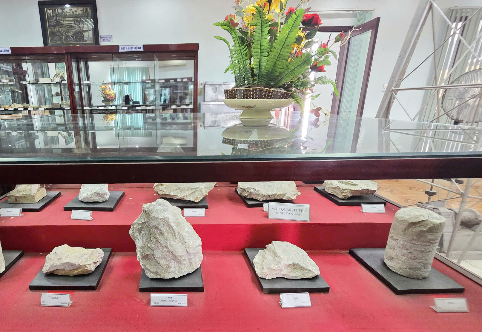 Ngành Than