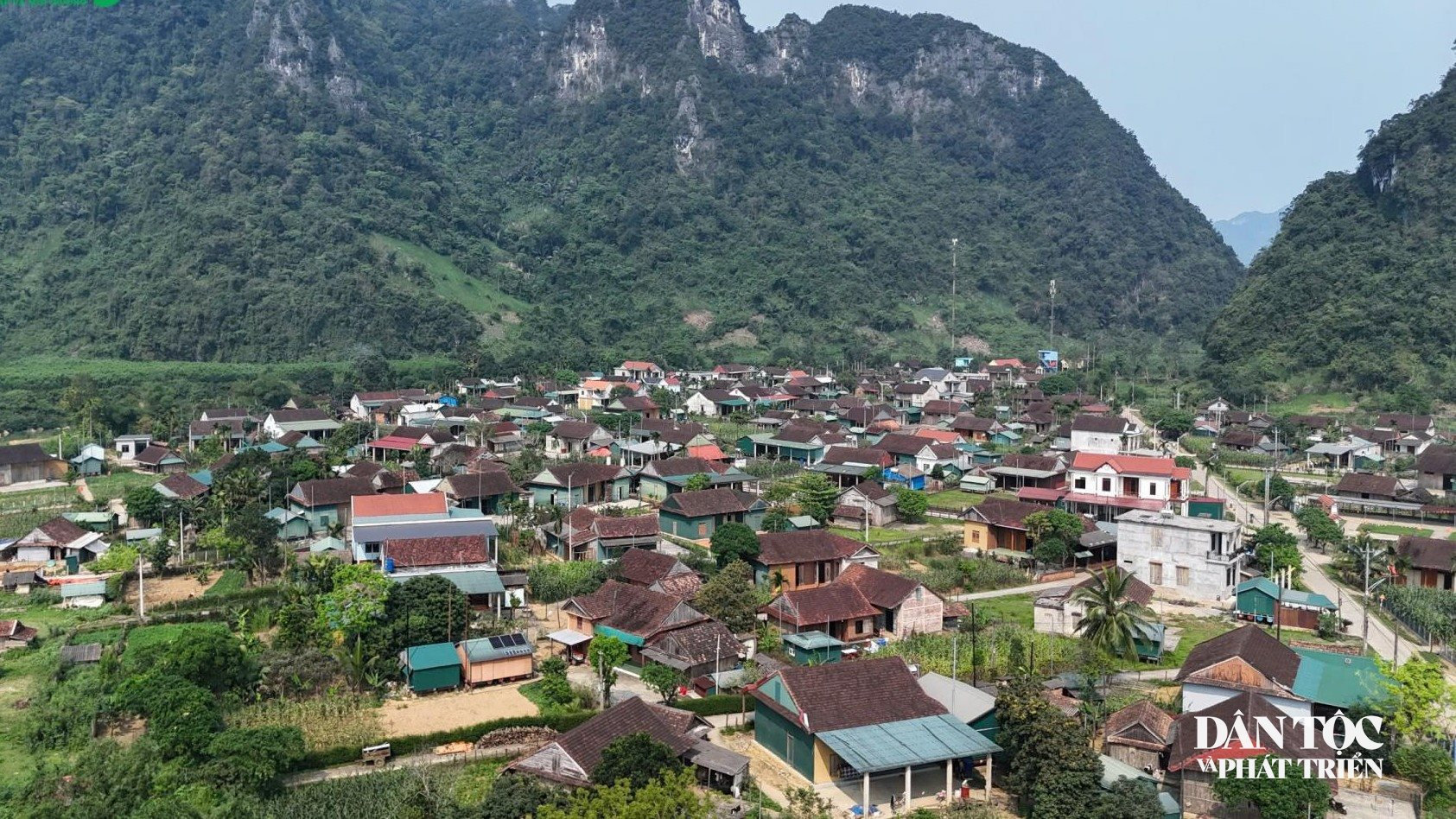 anh 50