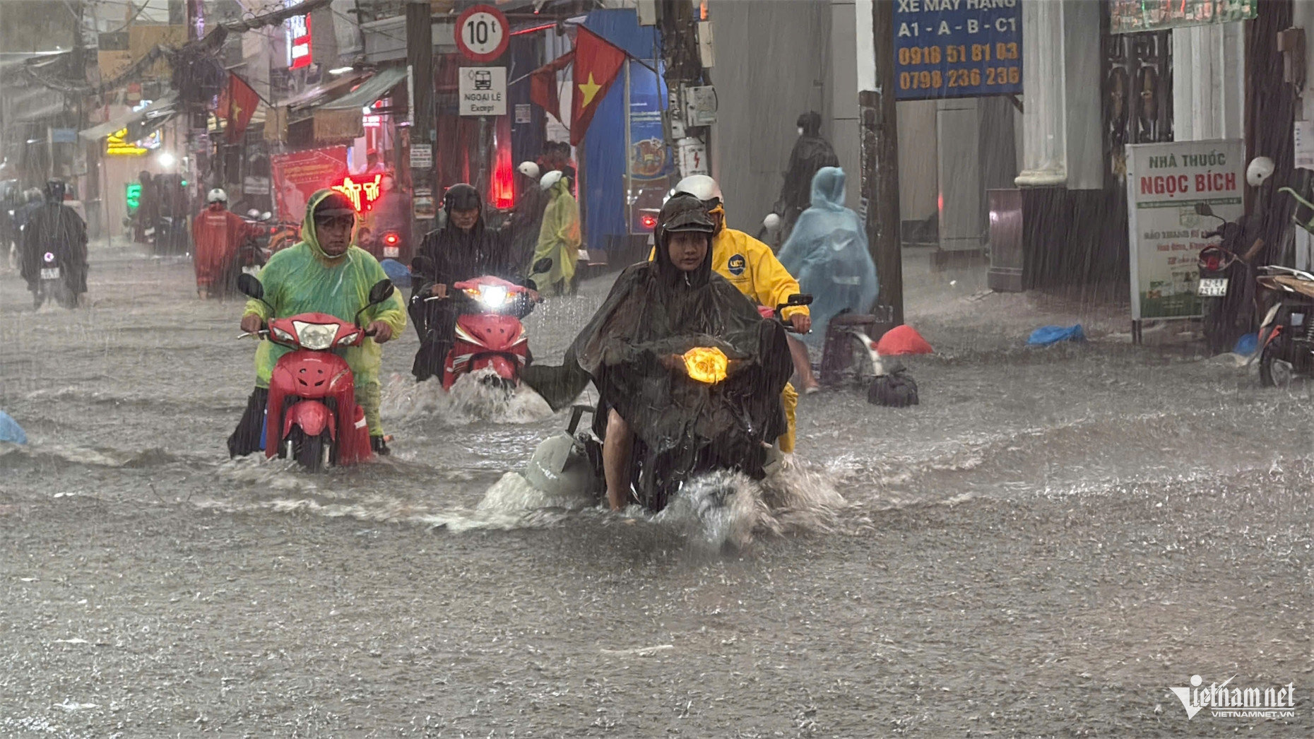 mua giong TPHCM Sang.jpg