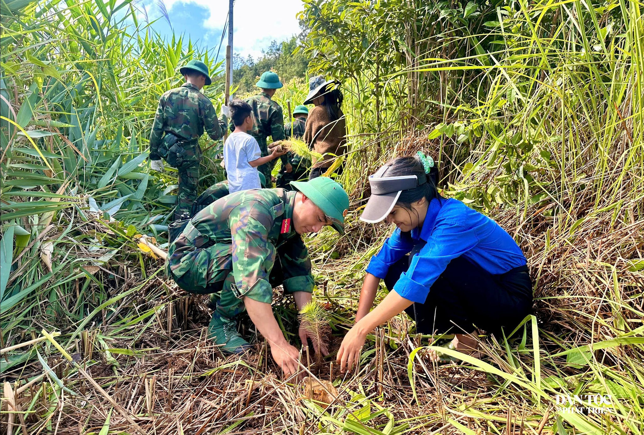 Cán bộ, chiến sĩ Trung đoàn Pháo binh 4 cùng với đoàn viên thanh niên xã Ngọk Réo trồng cây thông, phủ xanh đất trống. Ảnh: Ngọc Chí