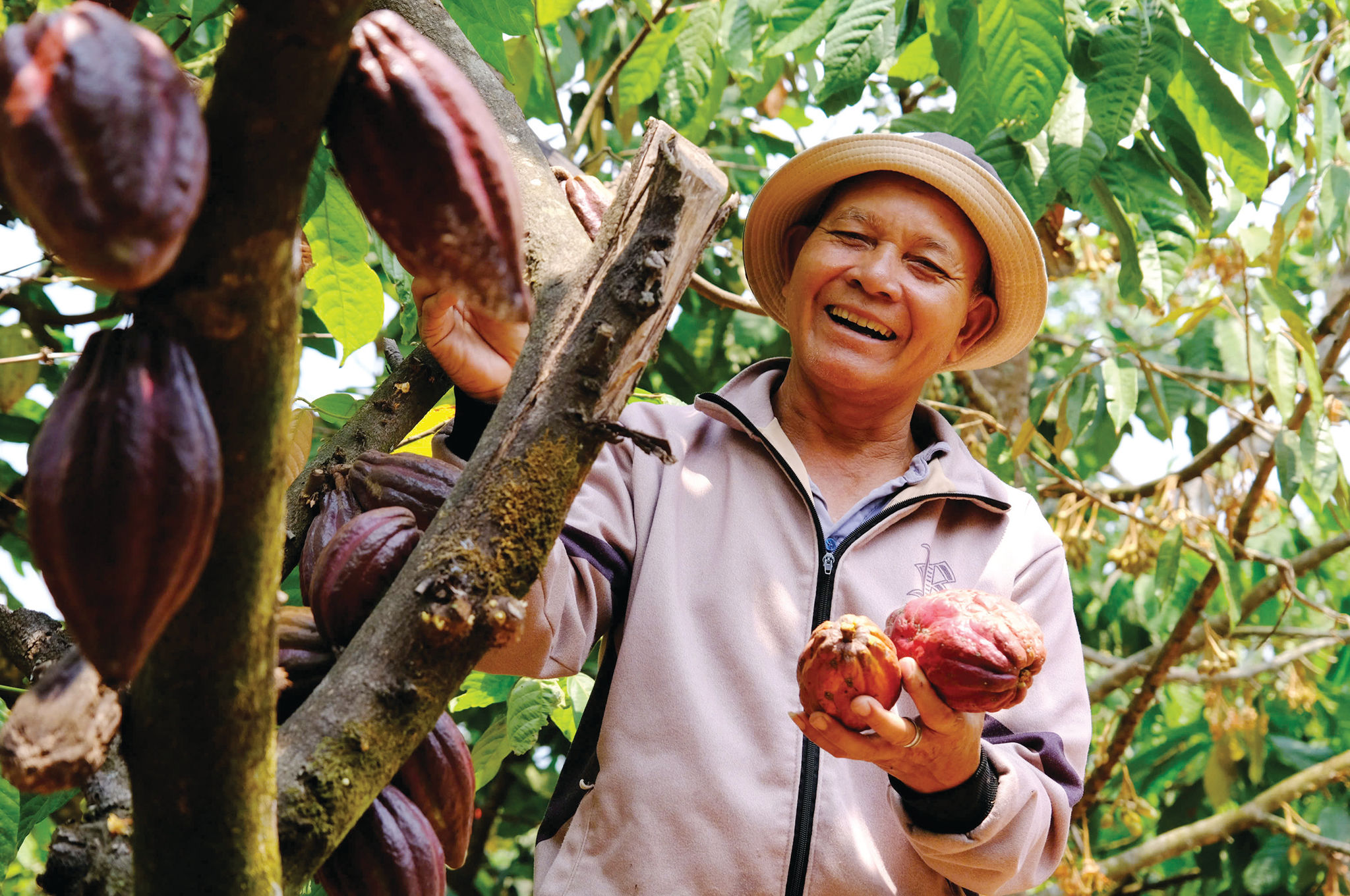 Anh 2t20