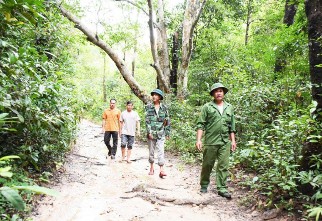 Bảo vệ rừng 1