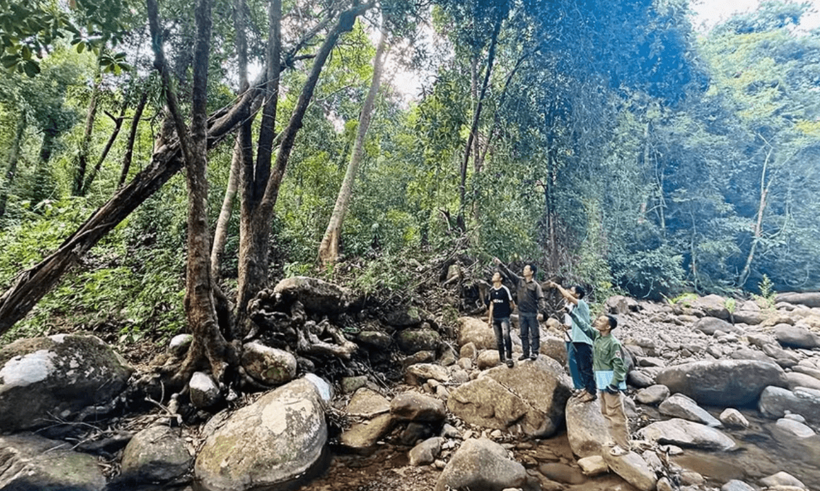 Bảo vệ rừng 2