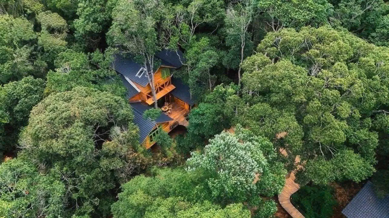 Măng Đen Treehouse là một trong 5 đại diện của Việt Nam tham gia giải thưởng “Làng du lịch tốt nhất thế giới” năm 2026 do Tổ chức Du lịch Liên hợp quốc (UN Tourism) tổ chức. Ảnh: Ngôisao.vn