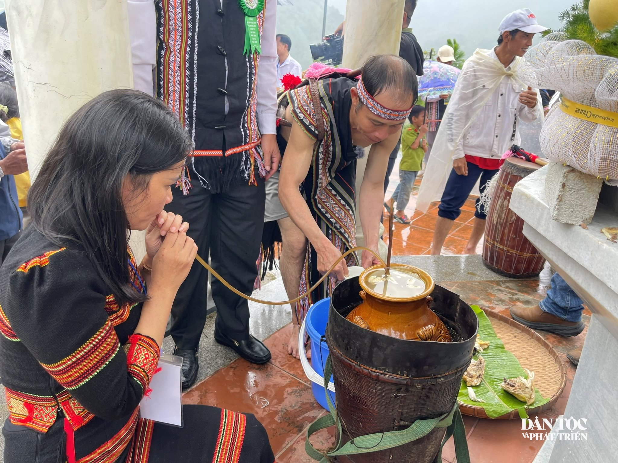 Sâm Ngọc Linh 10