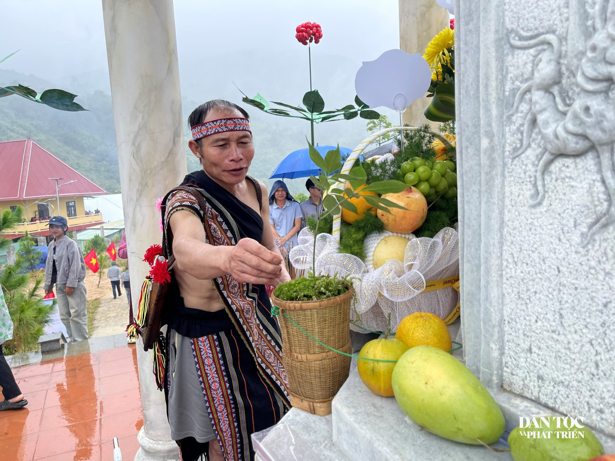 Sâm Ngọc Linh 7
