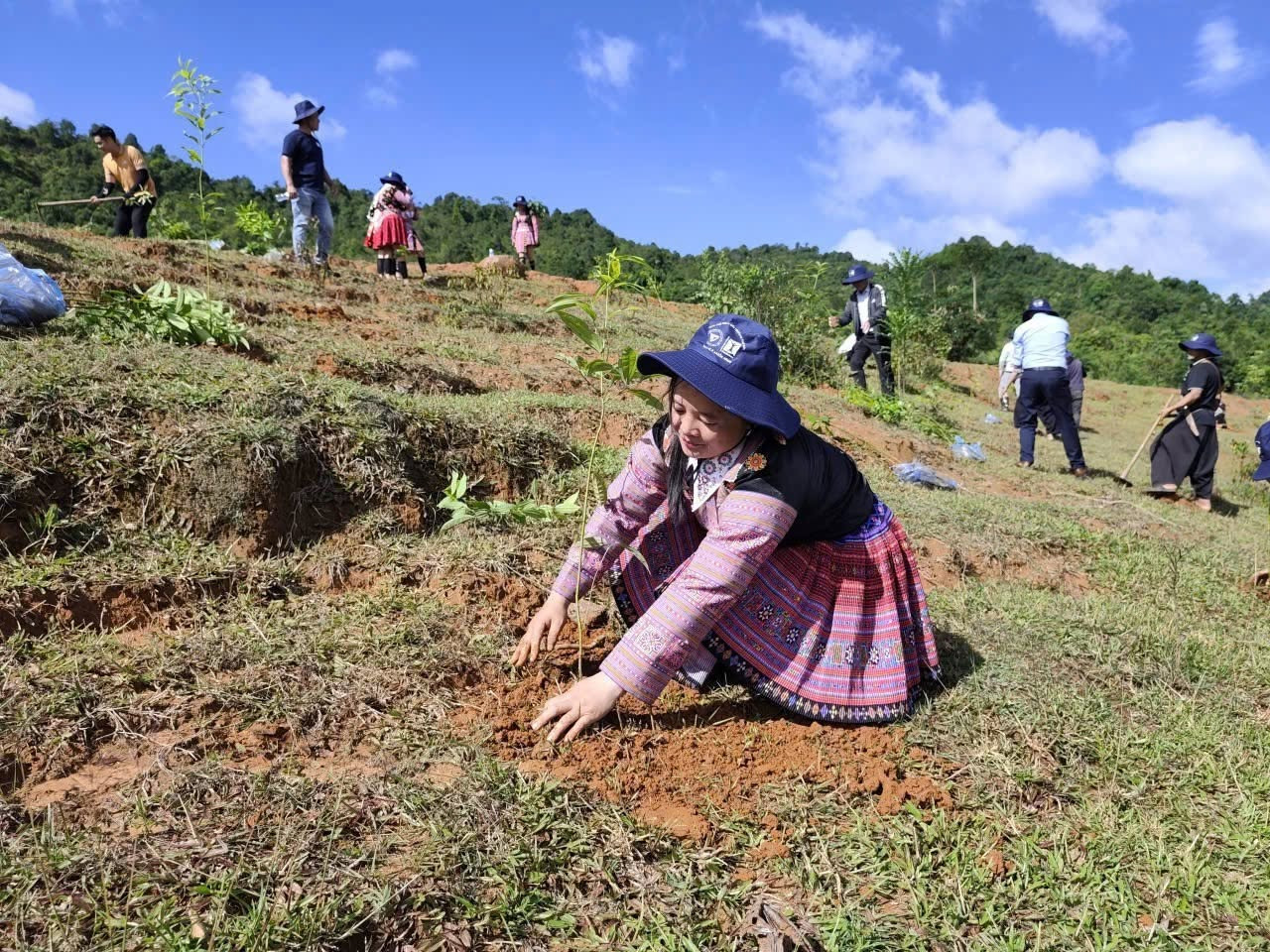 cuc lam nghiep va kiem lam