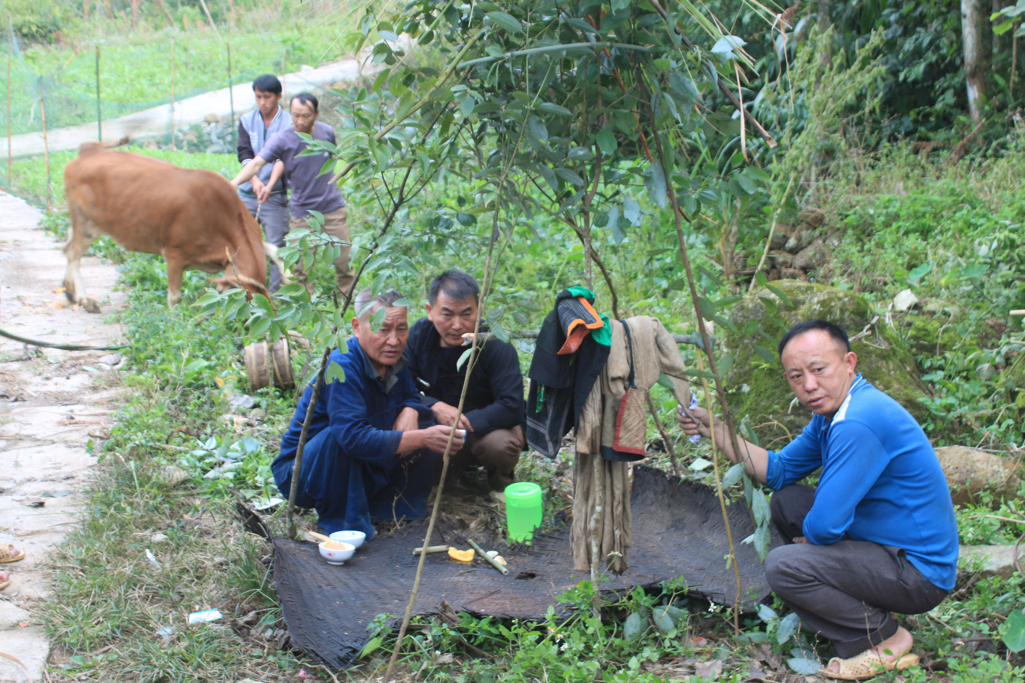 Ông Ly Mí Pó (bên phải), người tổ chức lễ cúng bò cho cha. Ảnh Đỗ Quang Tuấn Hoàng.