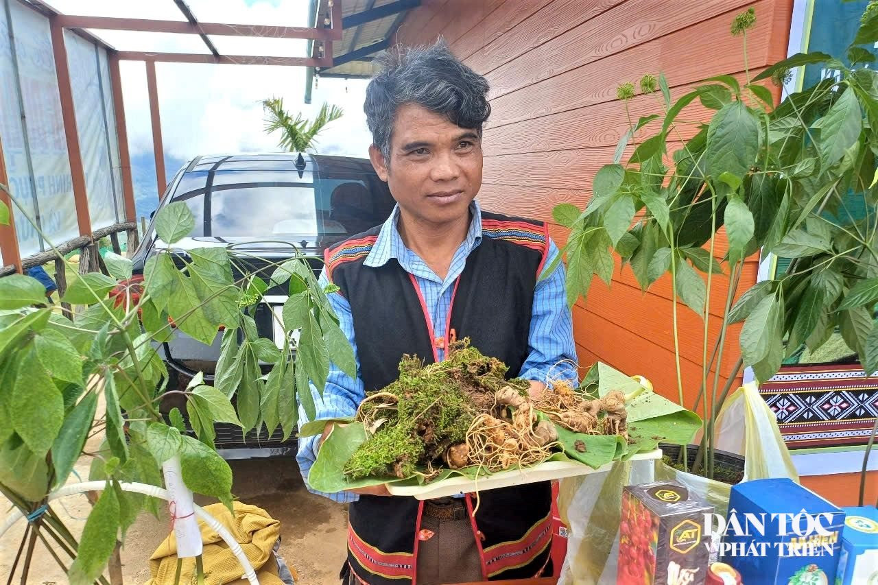 sam ngoc linh 14