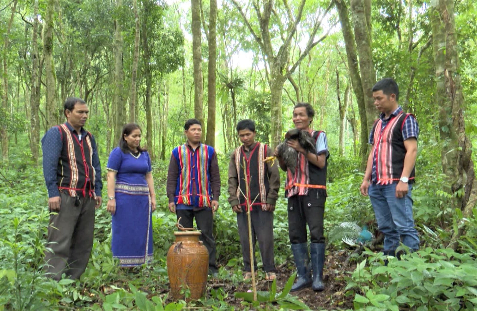 Tri thức dân gian về sâm Ngọc Linh: Báu vật gắn với tín ngưỡng về “thần rừng” (Bài 1)