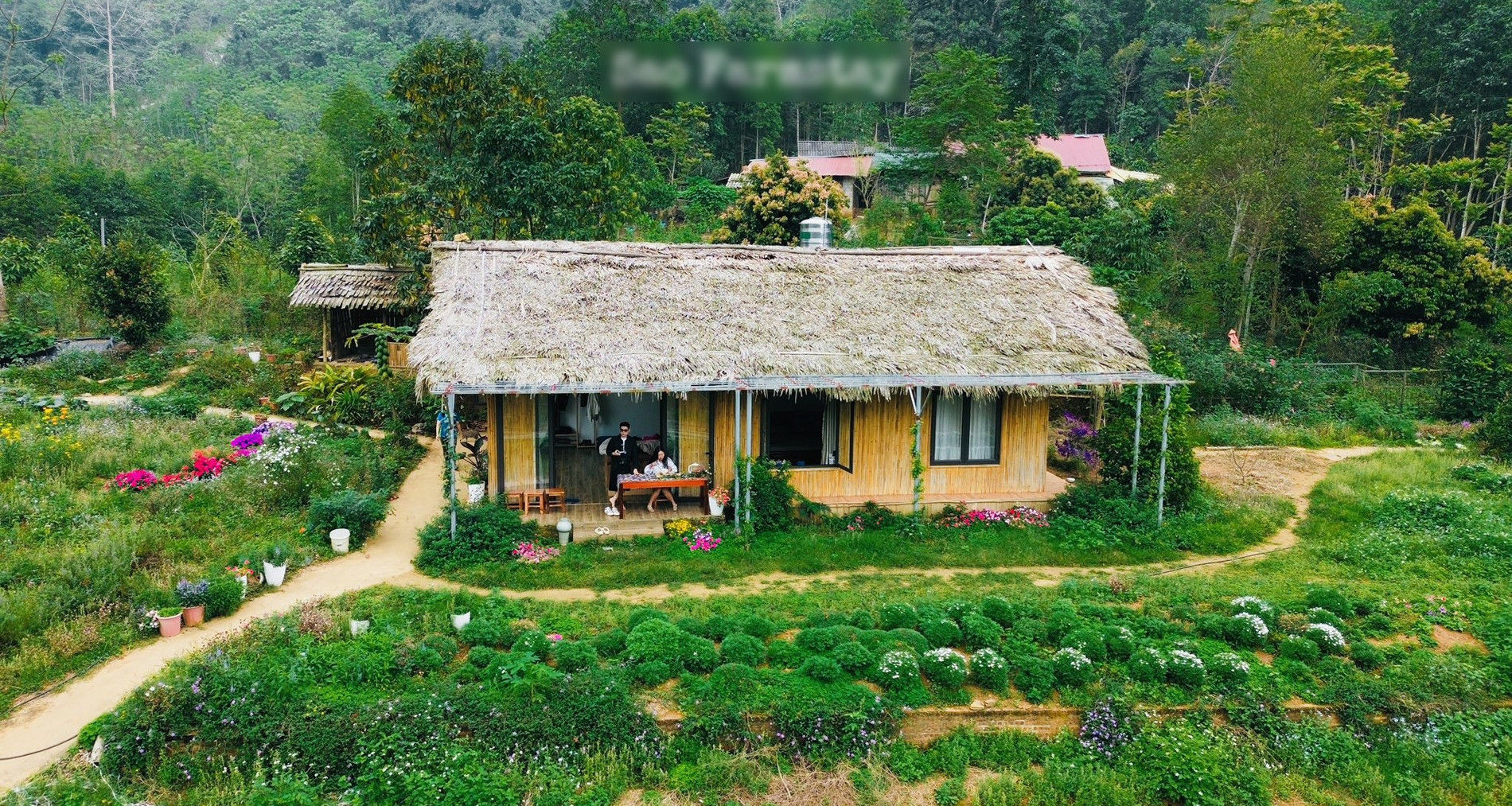 3 bản làng ở Tuyên Quang hút khách trốn nóng, có nơi biệt lập giữa rừng già 