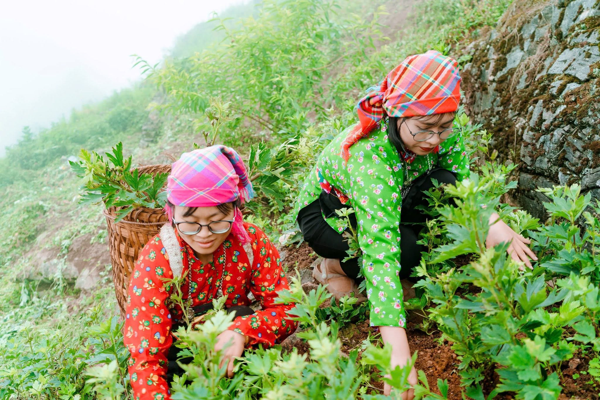 xa tùng vài