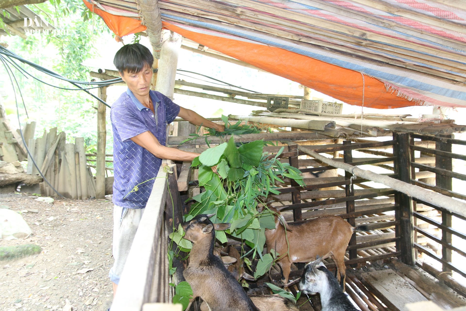 Sinh kế 2