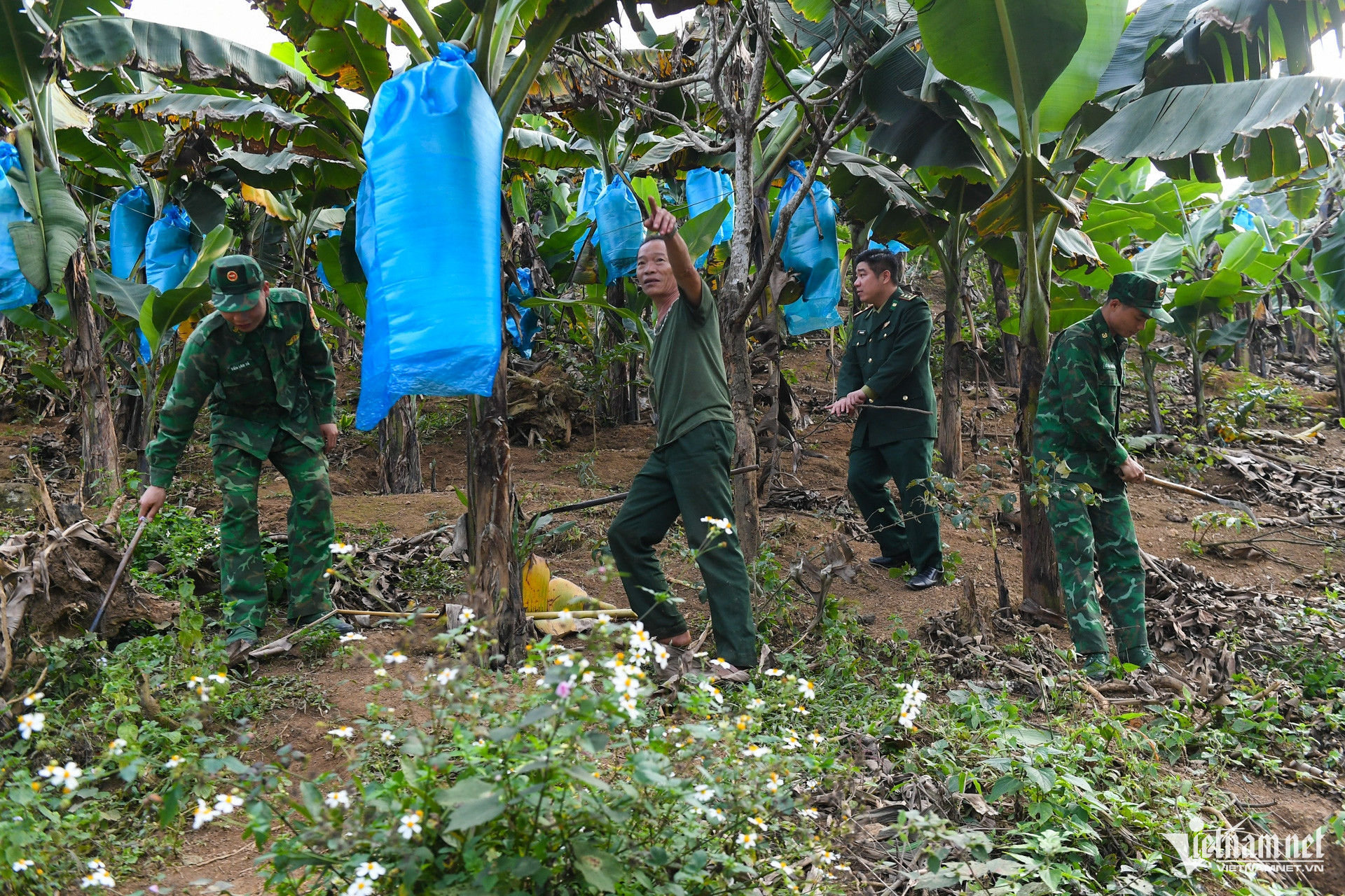 W-dttg mien nui bien phong (15).jpg