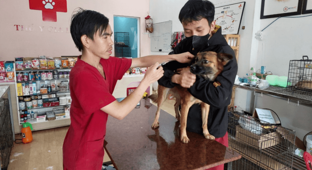Bệnh dại 1