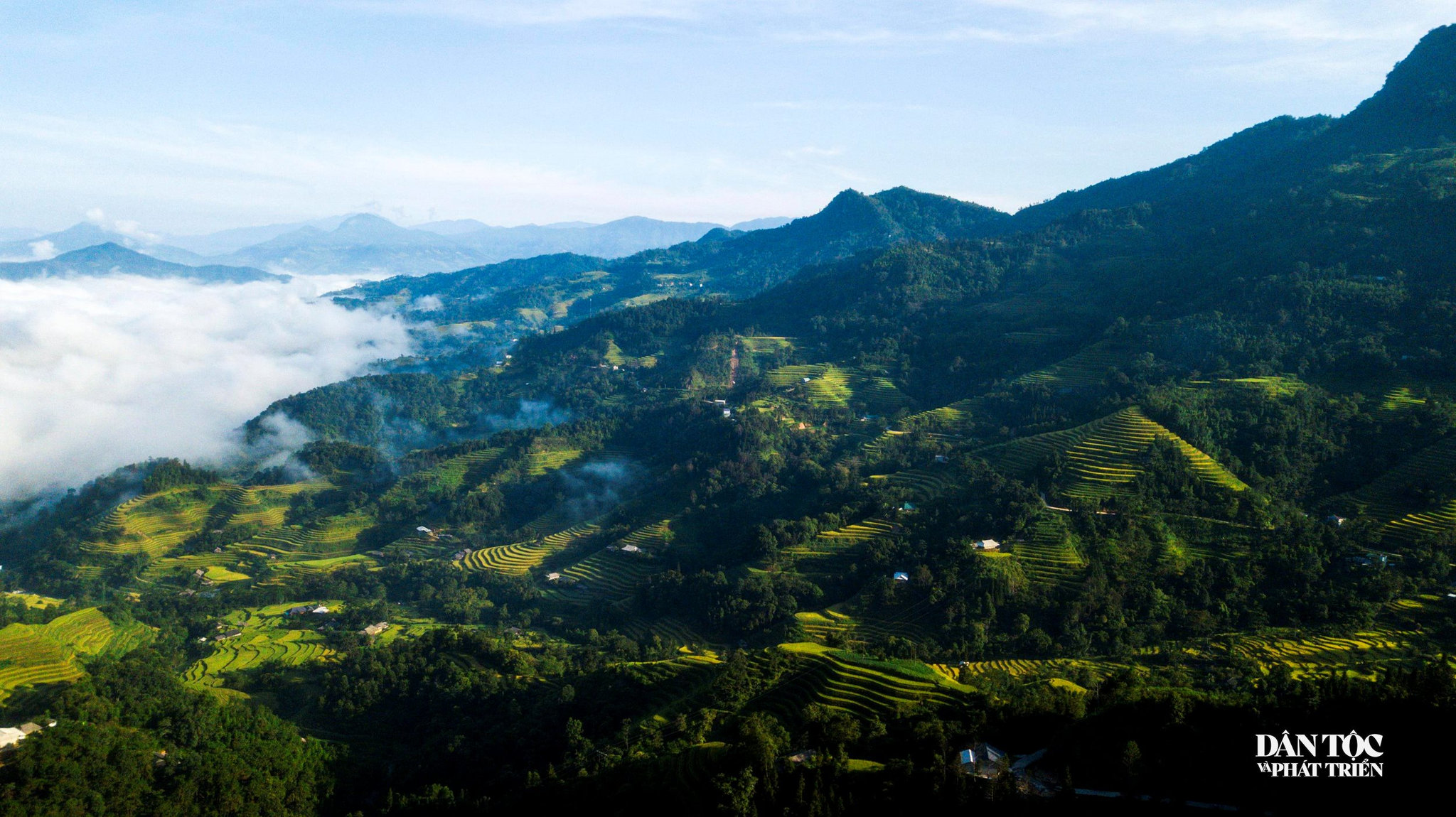 dji_0728.jpg