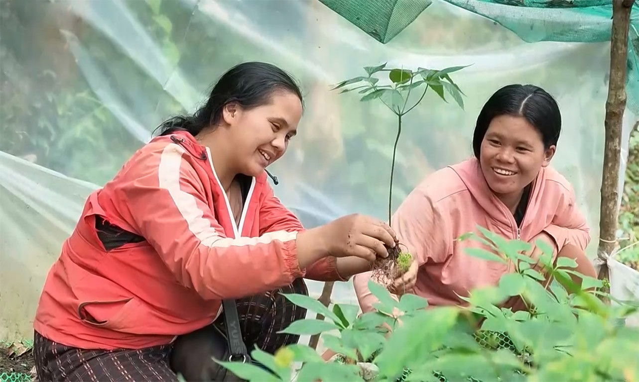 [Video] Tạo sinh kế bền vững cho đồng bào Xơ Đăng ở Măng Ri 