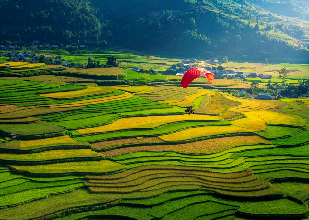 Tại Mường Lò, những cánh đồng lúa rộng lớn tạo nên nền cảnh đặc biệt cho các hoạt động văn hóa. Ảnh: IViVu. Com