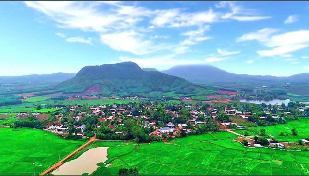 Mới Lập