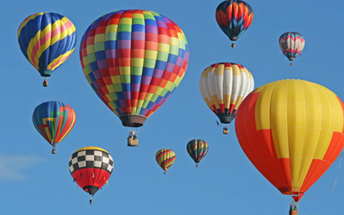 104253-1648037915953908604519-0-0-585-936-crop-16480379345461565530390.webp