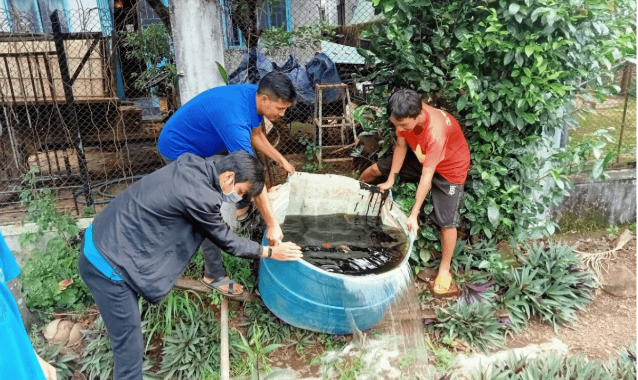 Sốt xuất huyết