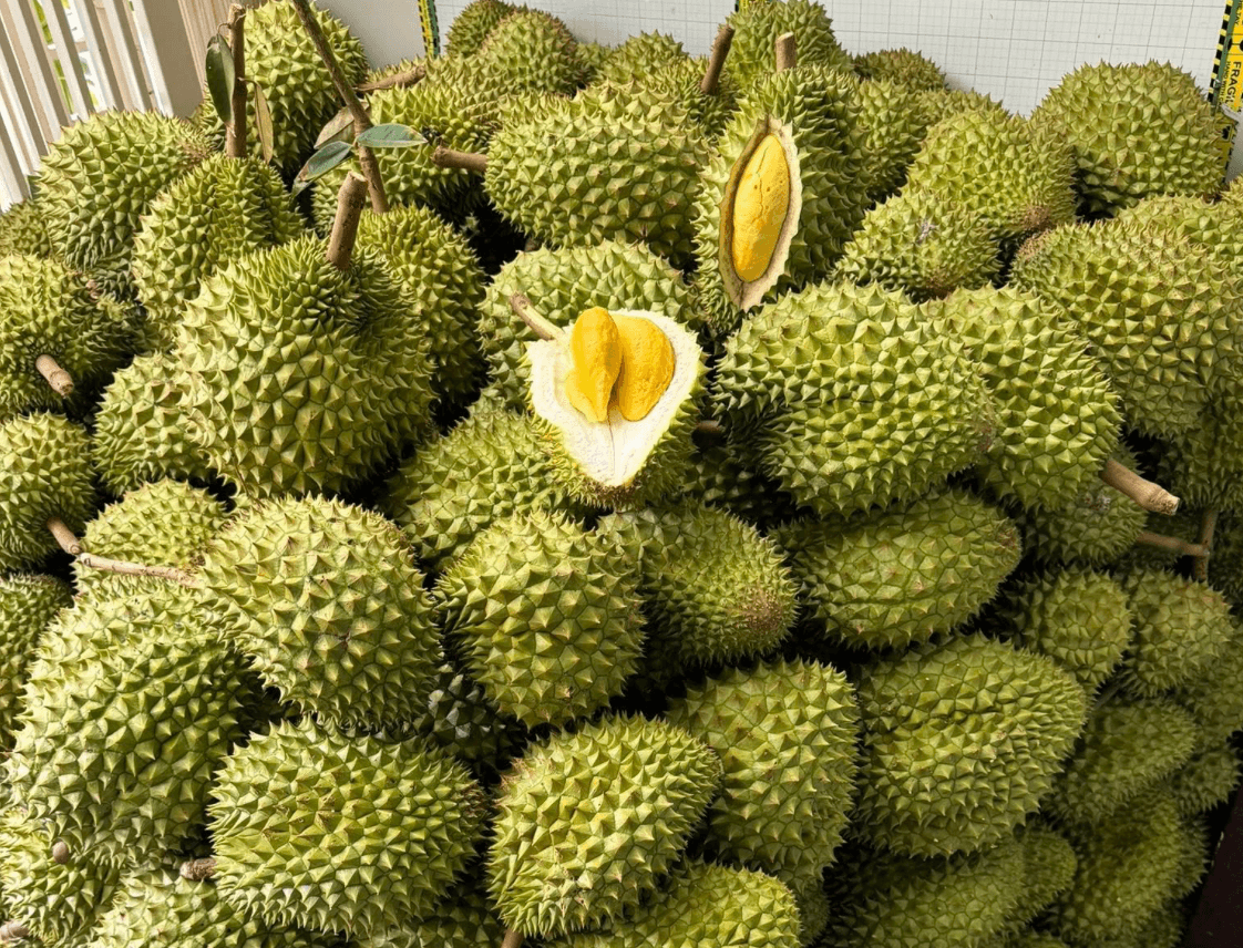 sau rieng