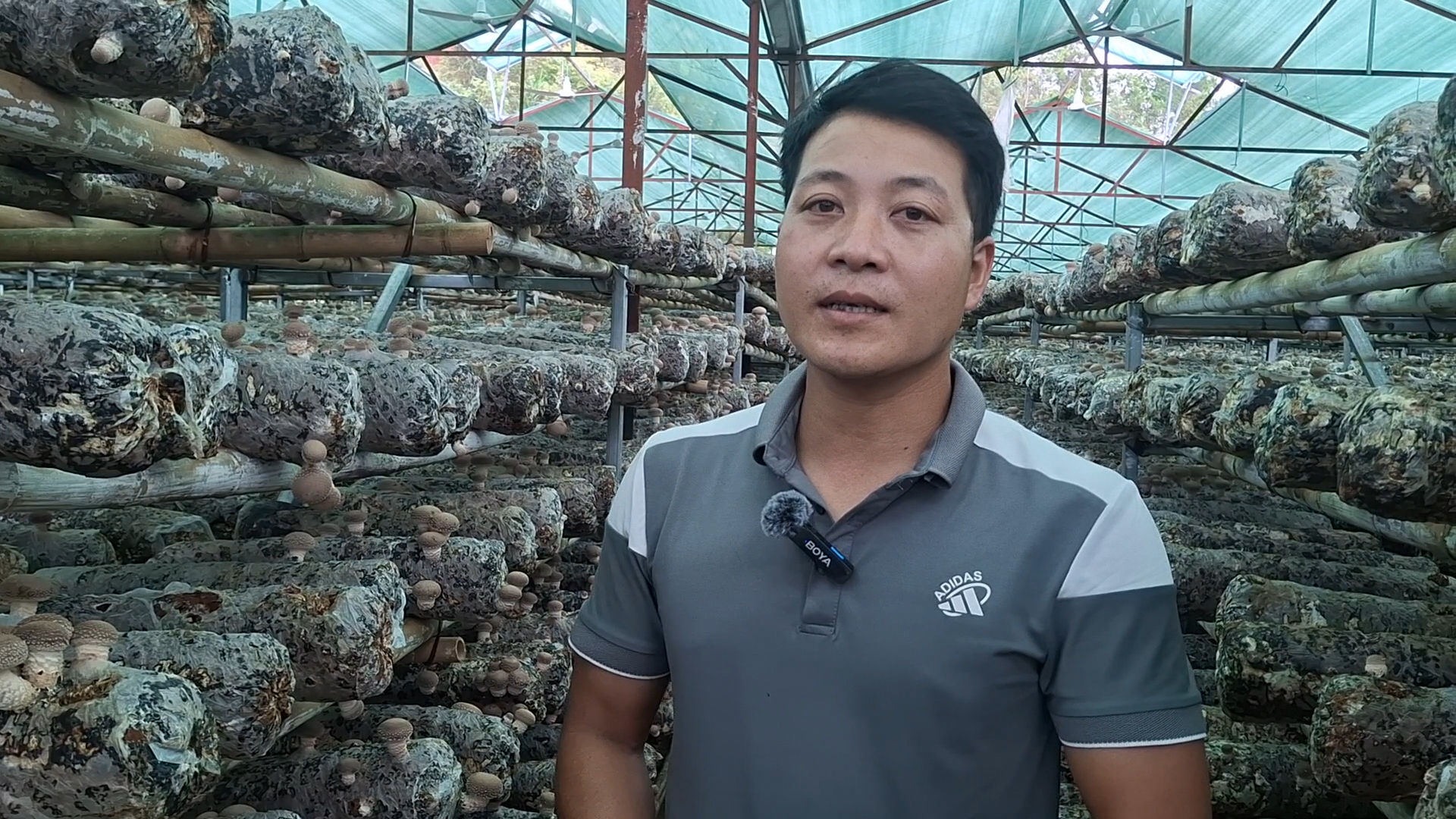 Ảnh Hoàng Văn Nối - PGĐ0