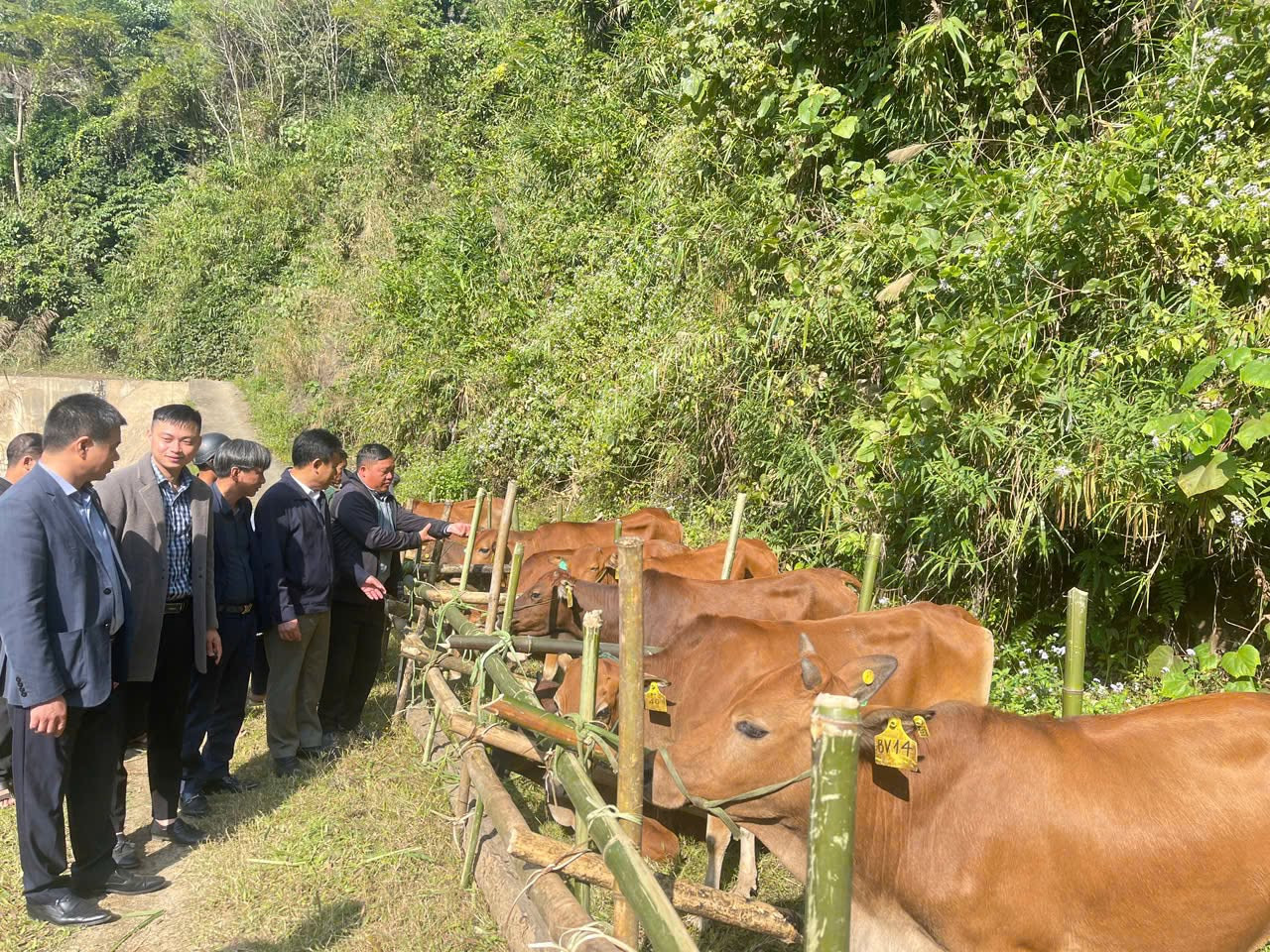 Một chương trình chỉ thực sự trở thành động lực giảm nghèo khi được nối với vùng nguyên liệu, chế biến và đầu ra ổn định. Ảnh: Liên minh HTX tỉnh Lào Cai