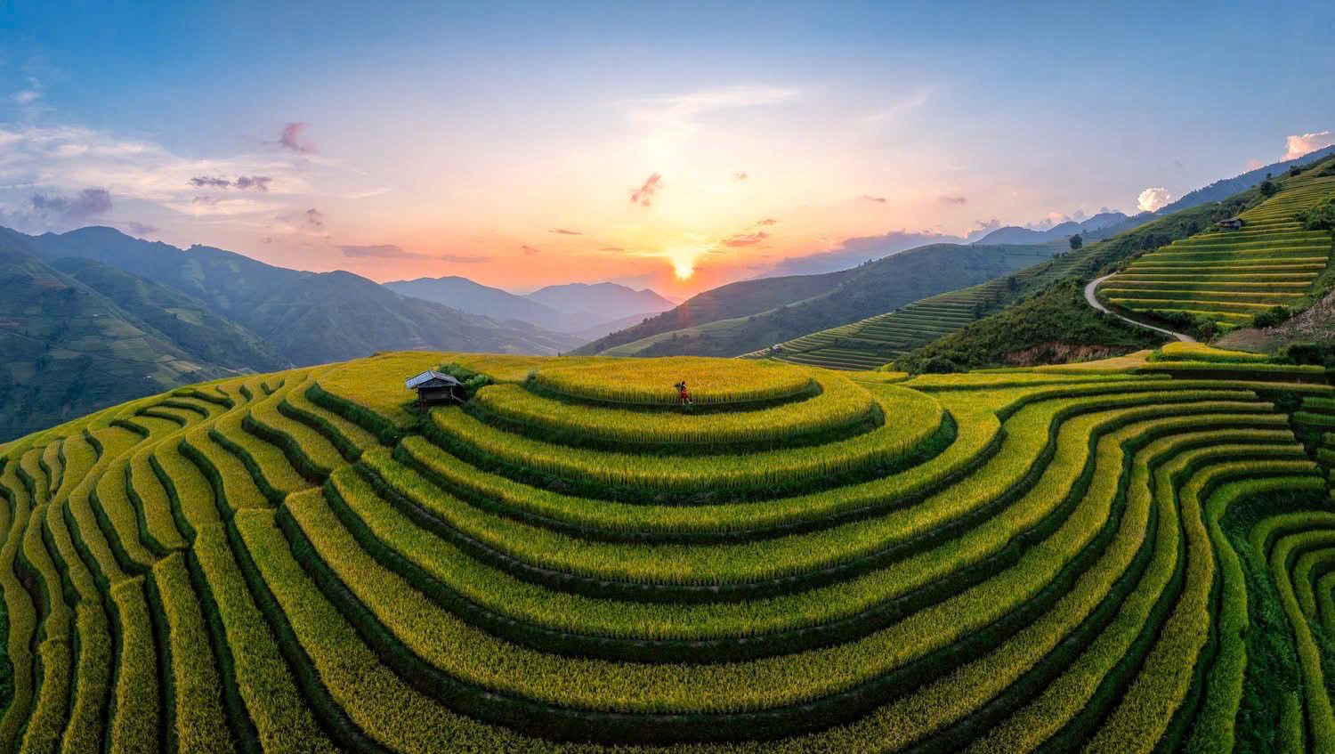 Mâm xôi Xím Vàng chạm mùa lúa chín. Ảnh: Sở VHTT&DL Sơn La